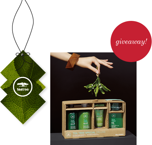 image of tea tree holiday gift set giveaway