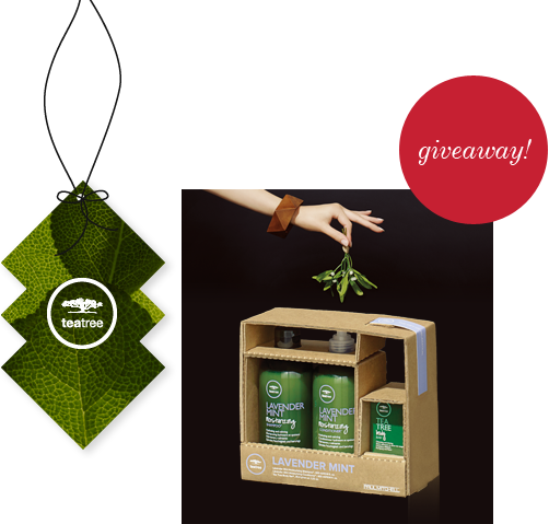 image of tea tree gift set giveaway